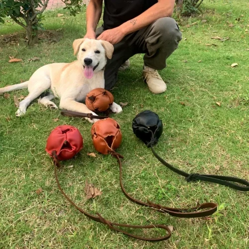 Leather Dog Tug Ball