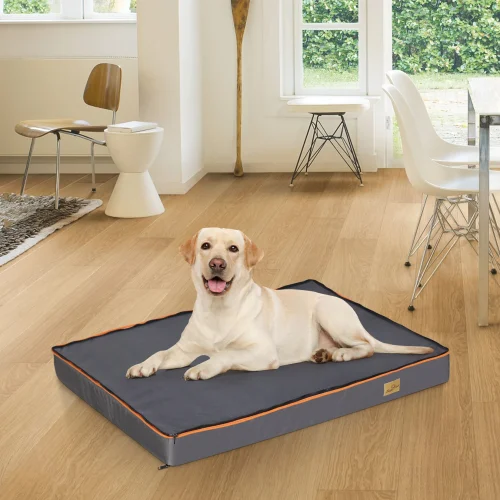 Large Padded Dog Bed